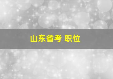 山东省考 职位